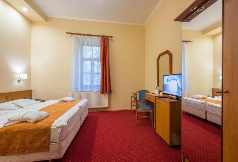 غرفة قياسية, Erzsébet Park