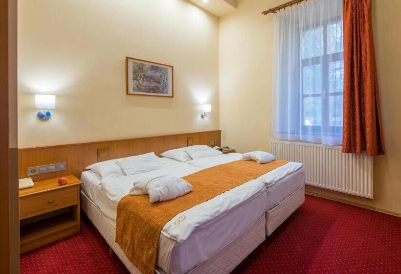 غرفة قياسية, Erzsébet Park