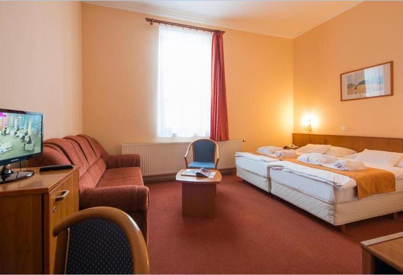 غرفة قياسية, Erzsébet Park