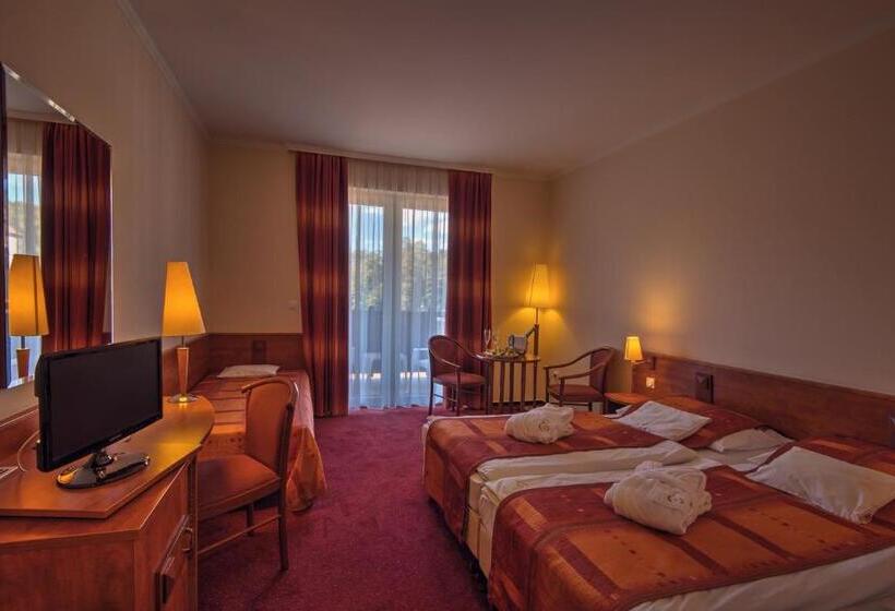 غرفة قياسية مطلّة علي حمام السباحة, Erzsébet Park