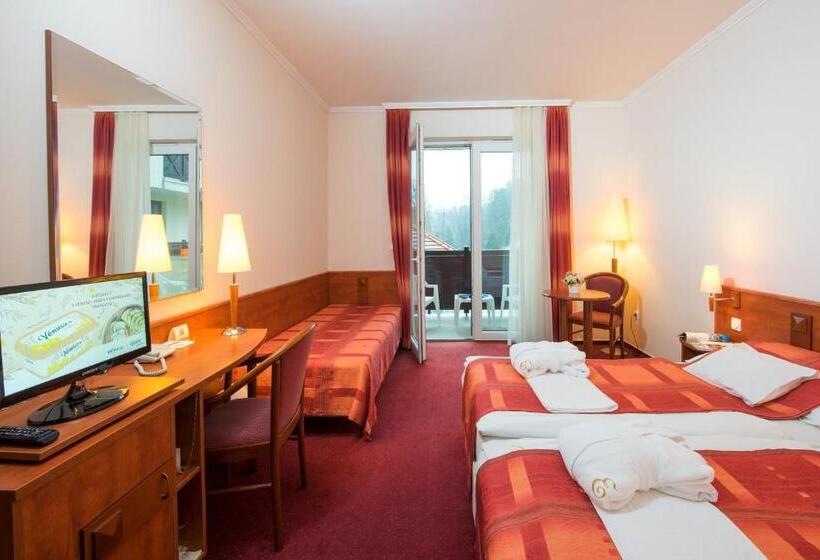 غرفة قياسية مطلّة علي حمام السباحة, Erzsébet Park