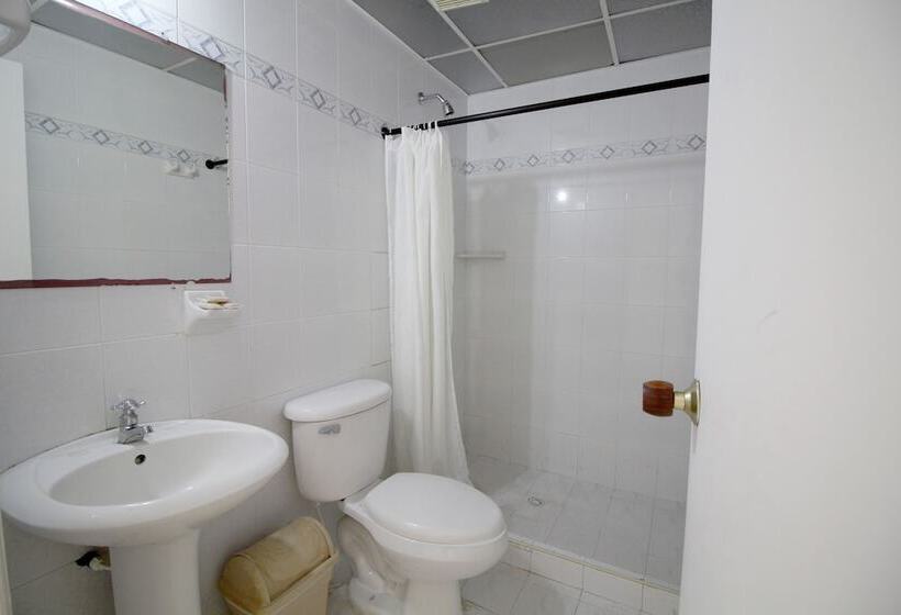 חדר סטנדרט לשלושה, On Vacation Coral Flower