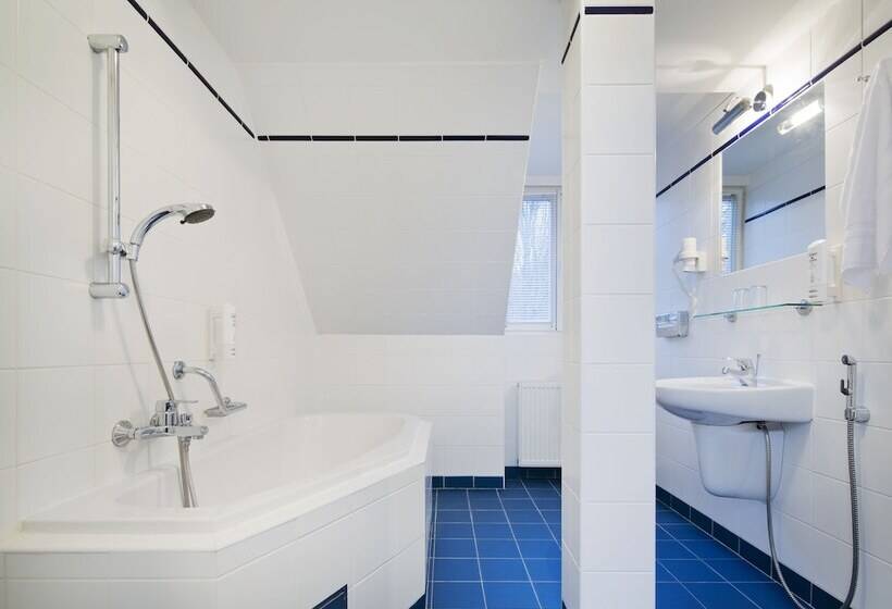 高级大房间, Orea Place Marienbad