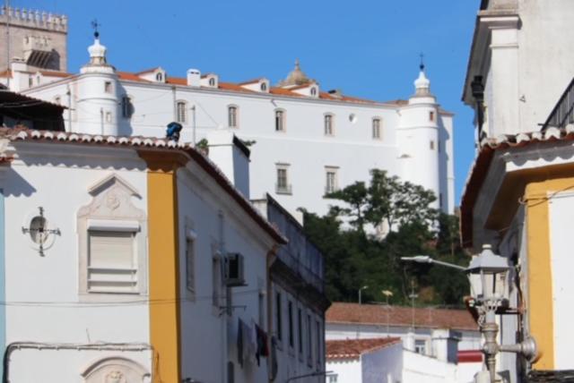 스탠다드 룸, Residencial Miguel José