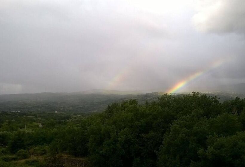 ファミリールーム, Mareneve Resort