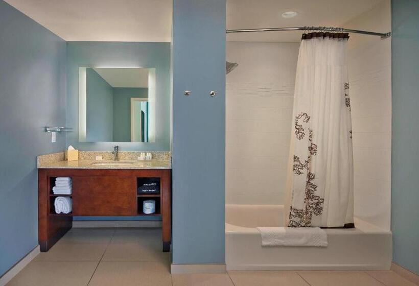 سوئیت با تخت بزرگ, Residence Inn By Marriott Orlando Downtown