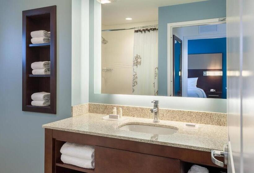 Люкс Кровать Кинг, Residence Inn By Marriott Orlando Downtown
