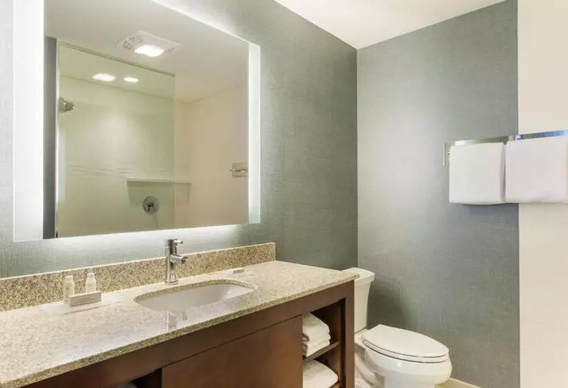 Standard-studio King-vuode, Residence Inn By Marriott Orlando Downtown