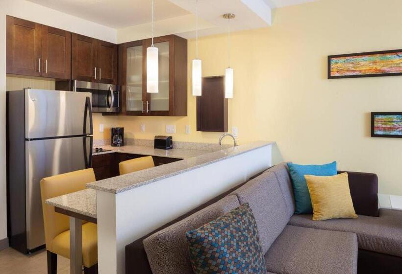 استودیو استاندارد با تخت کینگ, Residence Inn By Marriott Orlando Downtown