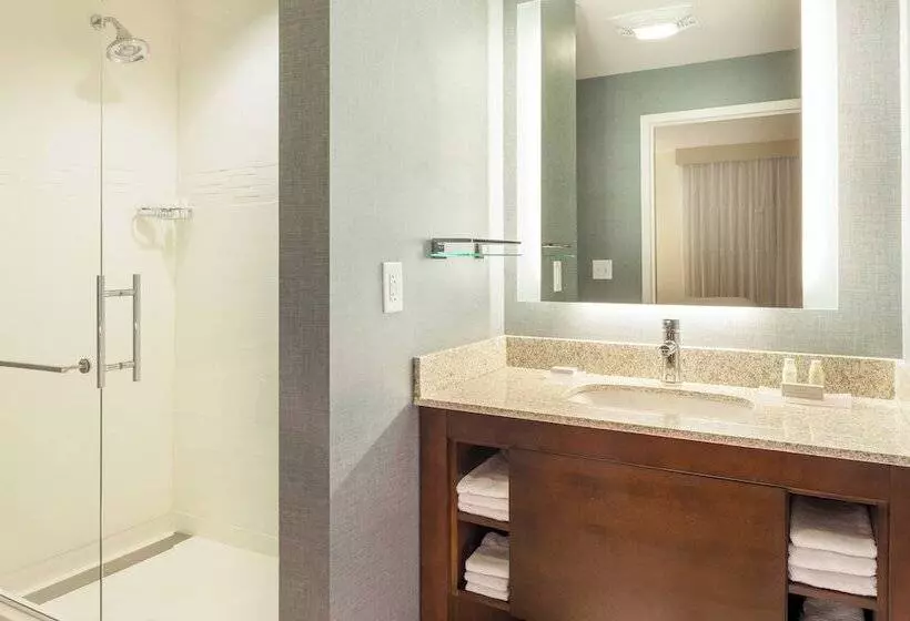 Sviitti 2 Makuuhuonetta, Residence Inn By Marriott Orlando Downtown