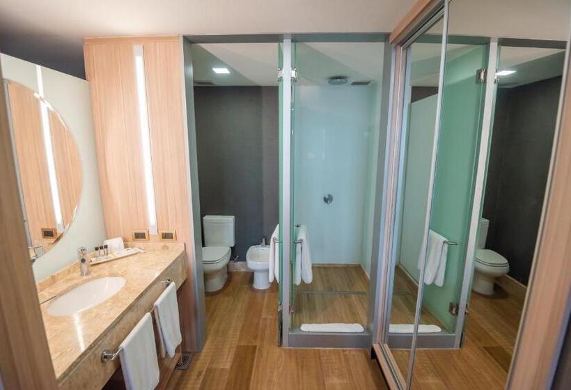 اتاق لوکس, Savoy Hotel Encarnación