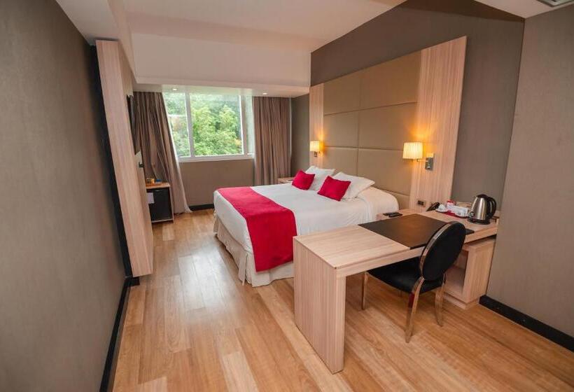 اتاق لوکس, Savoy Hotel Encarnación