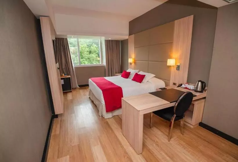 اتاق لوکس, Savoy Hotel Encarnación