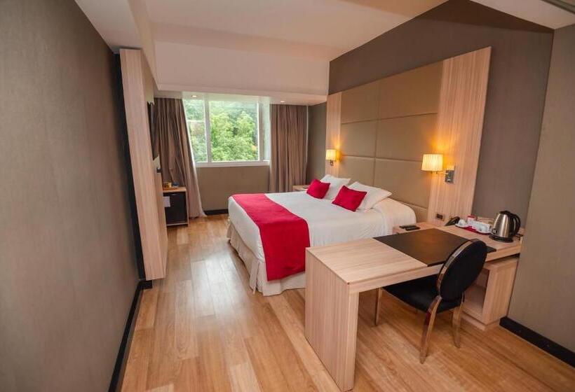 اتاق لوکس, Savoy Hotel Encarnación