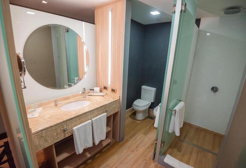 اتاق استاندارد, Savoy Hotel Encarnación