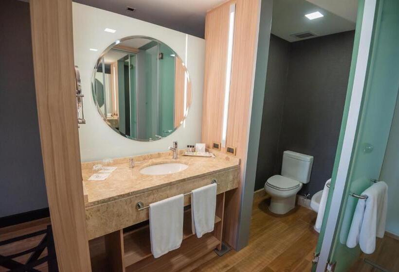 اتاق سوپریور, Savoy Hotel Encarnación