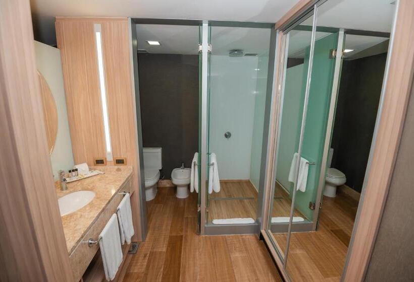 اتاق سوپریور, Savoy Hotel Encarnación