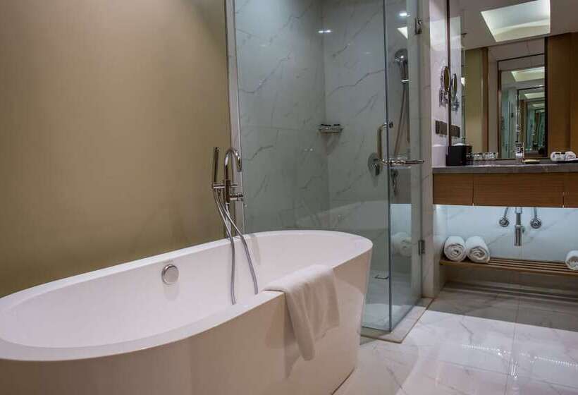 اتاق کلاب, Sheraton Hyderabad