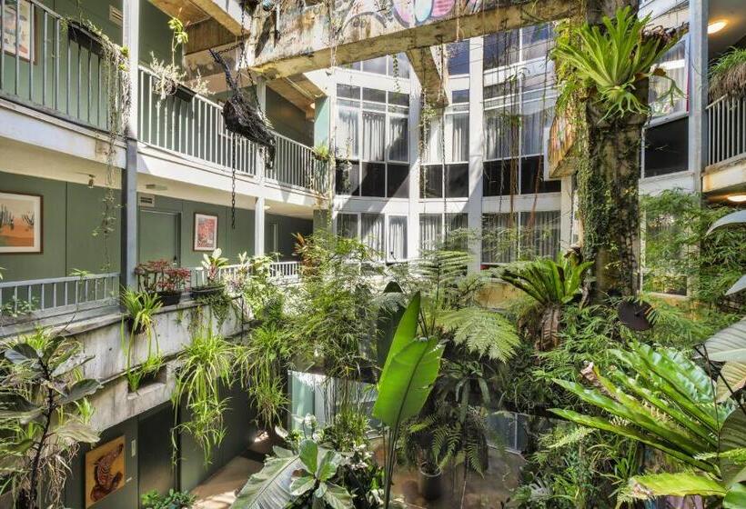 חדר סטודיו סטנדרד, The Urban Newtown