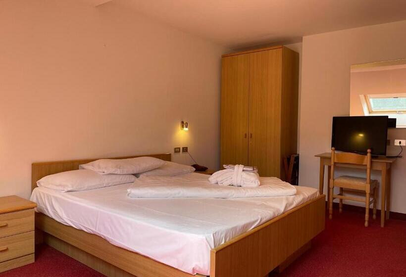 スタンダードシングルルーム, Alpenlife Hotel Someda