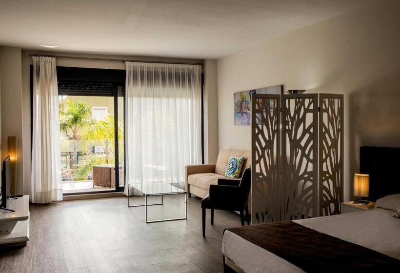 إستوديو قياسى مزودة بتراس, Bluesea Dimona Suites