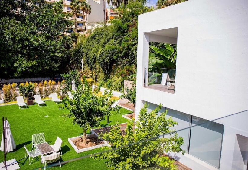 Estudio Estándar Vista Jardín, Bluesea Dimona Suites