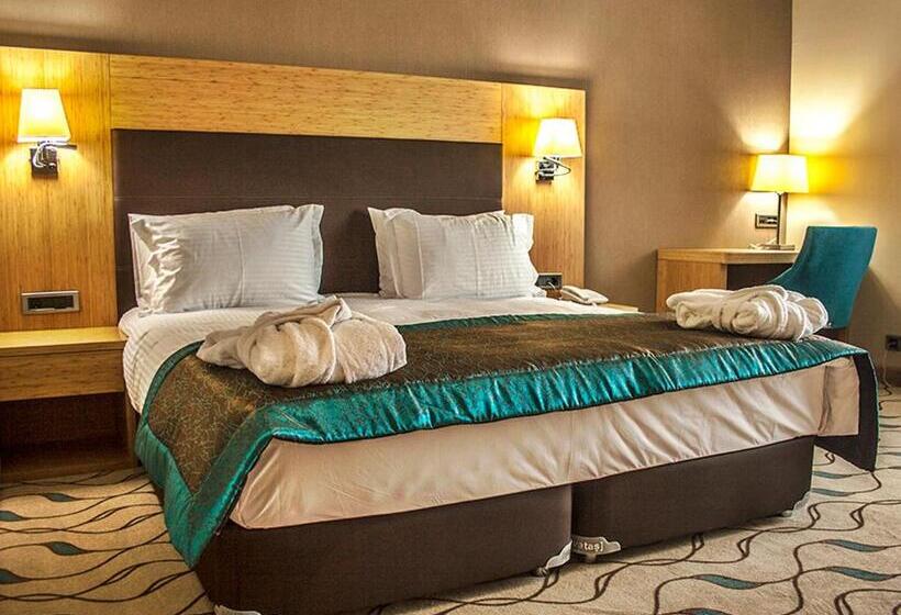 标准单人间, Margi