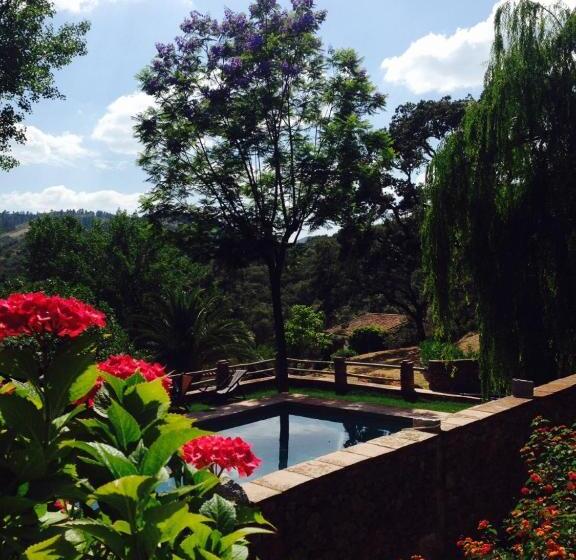 منزل غرفة نوم واحدة, Molino Rio Alajar