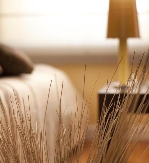 اتاق استاندارد, Suite Inn