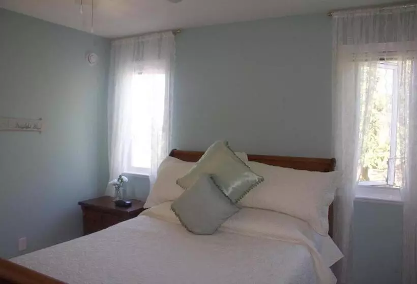 Standard-huone, Star Of The Sea Guest House