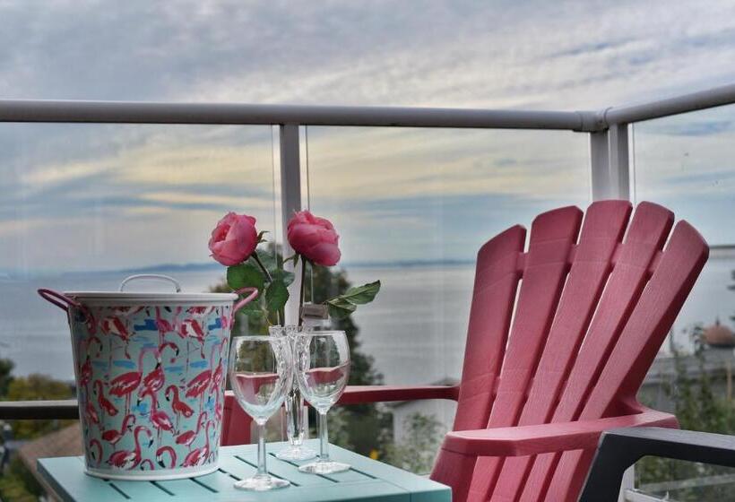 Standard Szoba, Star Of The Sea Guest House