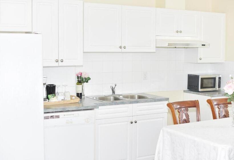 Családi Stúdió, Star Of The Sea Guest House