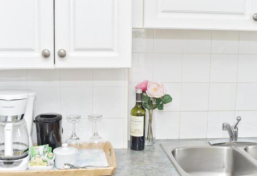 Családi Stúdió, Star Of The Sea Guest House