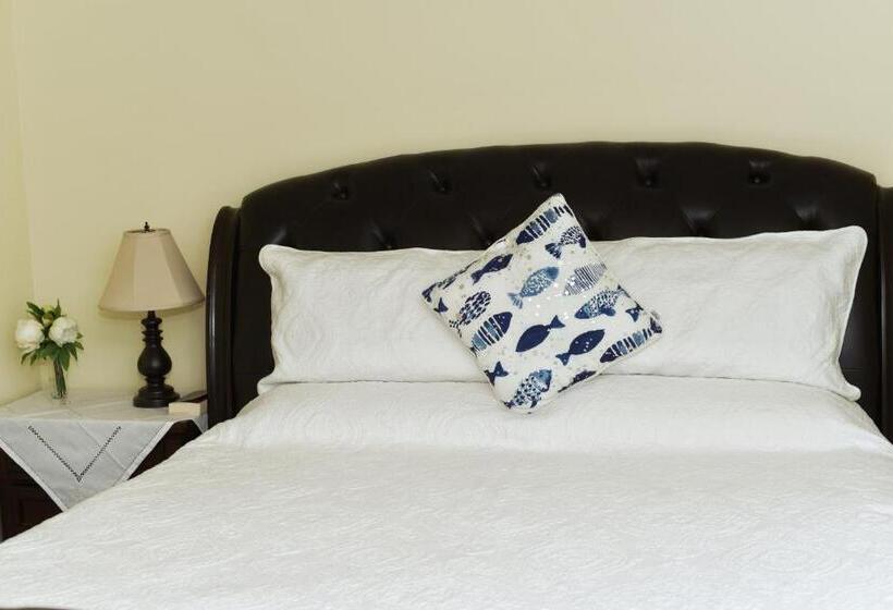 Családi Stúdió, Star Of The Sea Guest House