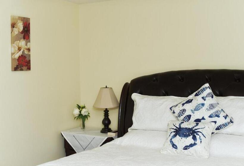 Семейное Студио, Star Of The Sea Guest House