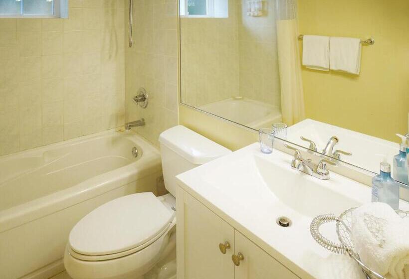 Családi Stúdió, Star Of The Sea Guest House