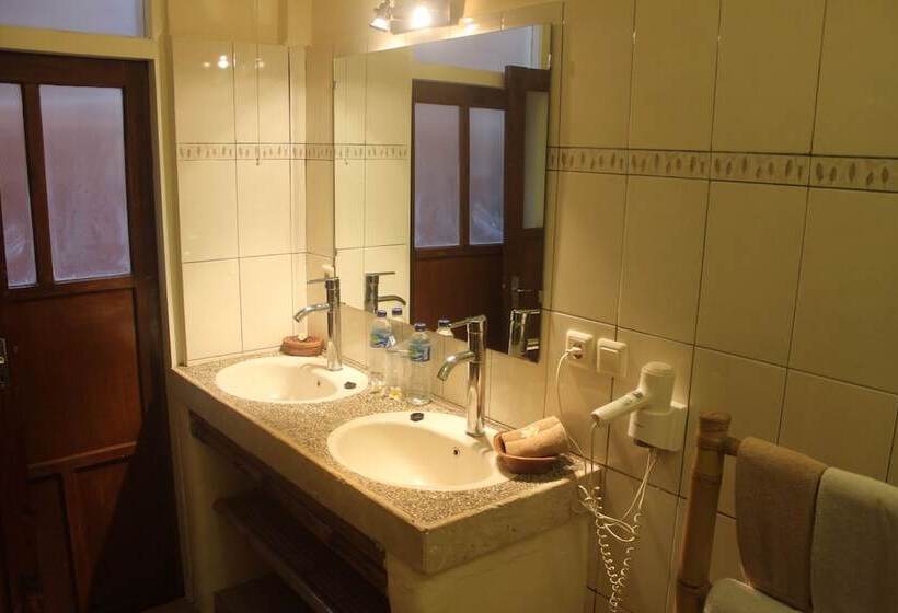 スタンダードルーム, Chonos Hotel Lovina