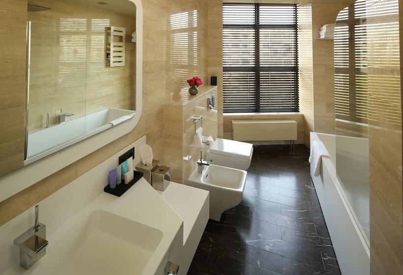 اتاق سوپریور, Berds Chisinau Mgallery Hotel Collection