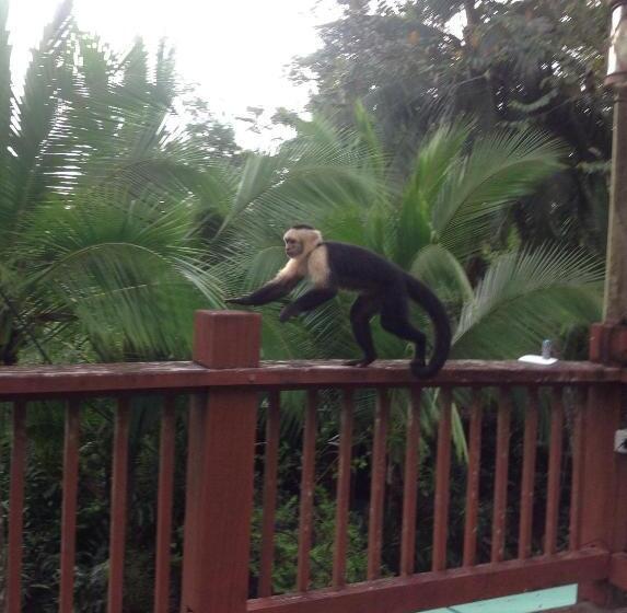 Вилла 1 Спальня Вид на Сад, Casa Manglar Villa