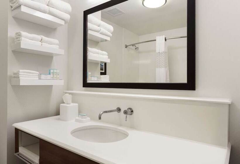 Номер Стандарт Кровать Кинг Адаптированный для Инвалидов, Hampton Inn Kennewick At Southridge