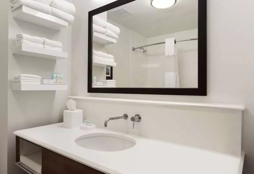 身障者適用キングサイズベッドルーム, Hampton Inn Kennewick At Southridge