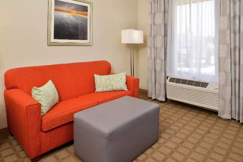 キングサイドベッドのスタンダードワンルーム, Hampton Inn & Suites Hutto Austin