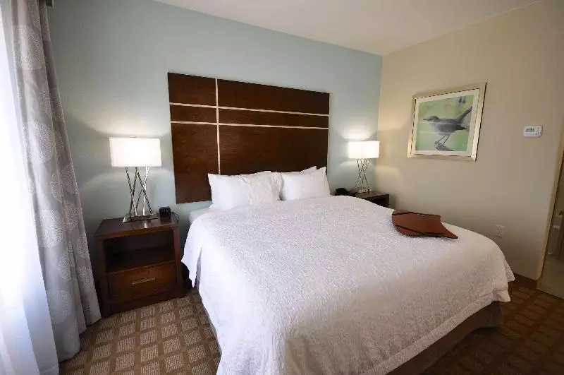 キングサイズベッドのスタンダードルーム, Hampton Inn & Suites Hutto Austin