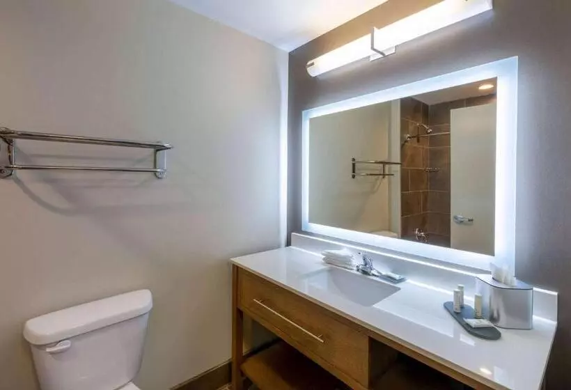 キングサイズベッドのスタンダードルーム, La Quinta Inn & Suites By Wyndham Tulsa Downtown   Route 66