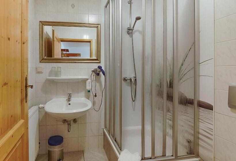 Номер Стандарт Индивидуальный, Landhotel & Brauhaus Prignitzer Hof