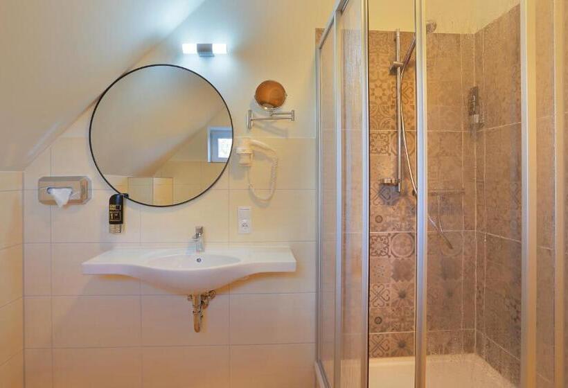 Номер Deluxe Одноместный, Landhotel & Brauhaus Prignitzer Hof