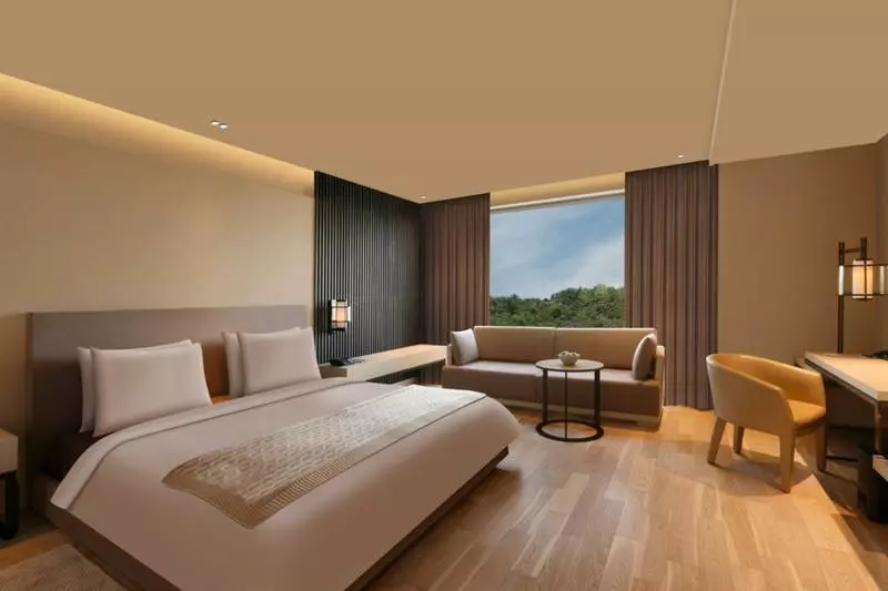 اتاق لوکس, Roseate House New Delhi