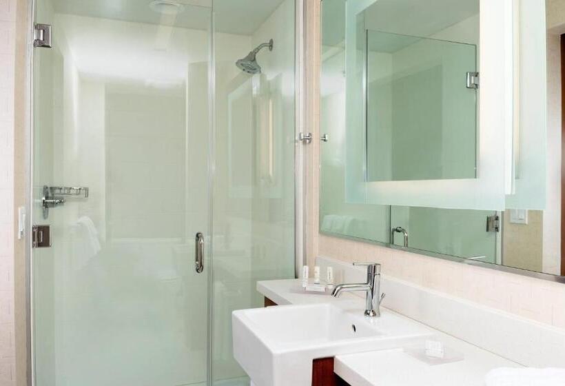 Студио Стандарт Кровать Кинг, Springhill Suites By Marriott Kennewick Tri Cities