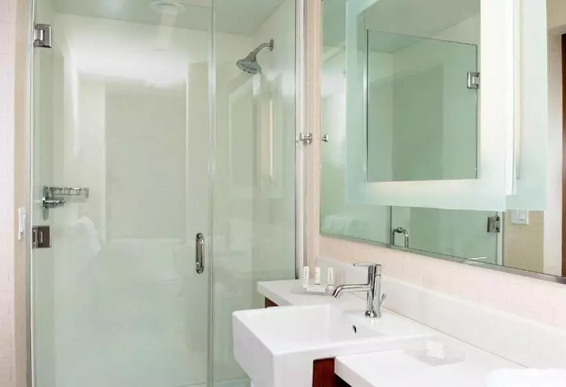 キングサイドベッドのスタンダードワンルーム, Springhill Suites By Marriott Kennewick Tri Cities