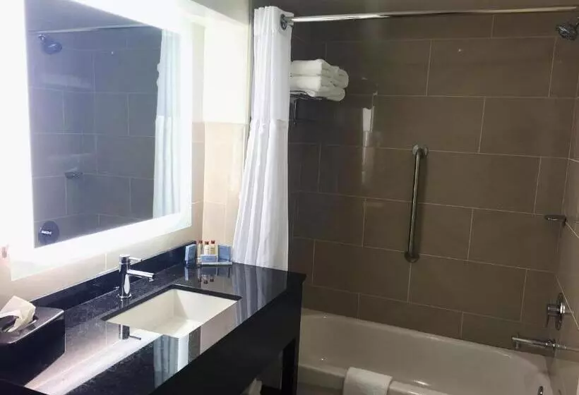 デラックスルーム, Wingate By Wyndham Niagara Falls